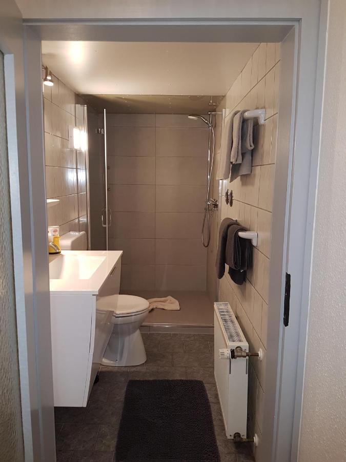 Eulennest Im Souterrain Apartment Elten Екстериор снимка